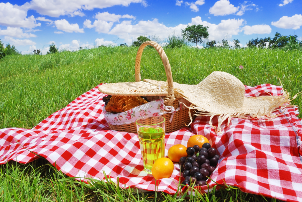 July is National Picnic Month! Kids Place Therapy Services